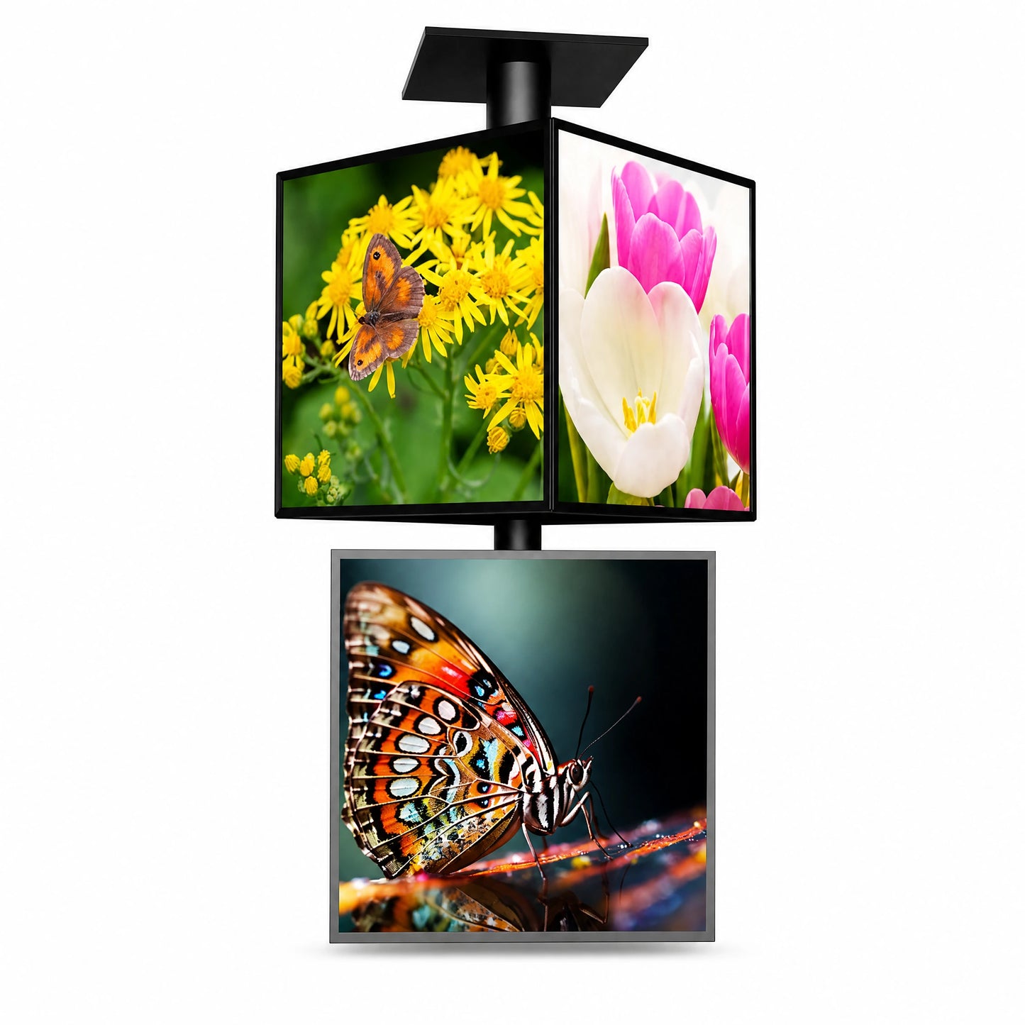 LQ Hanging Rotating LED Light Box Sign